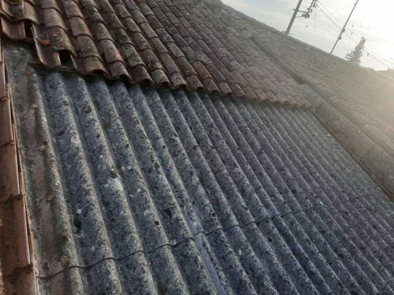 Nettoyage de toiture, Langon, LAFLEUR LAURENT