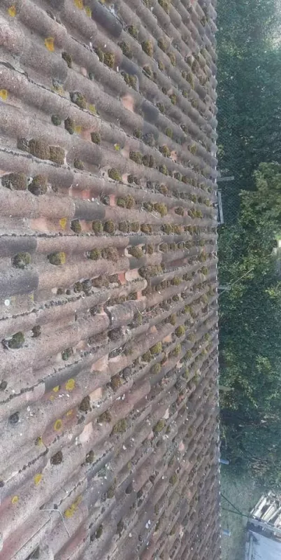 Nettoyage de toiture, Langon, LAFLEUR LAURENT